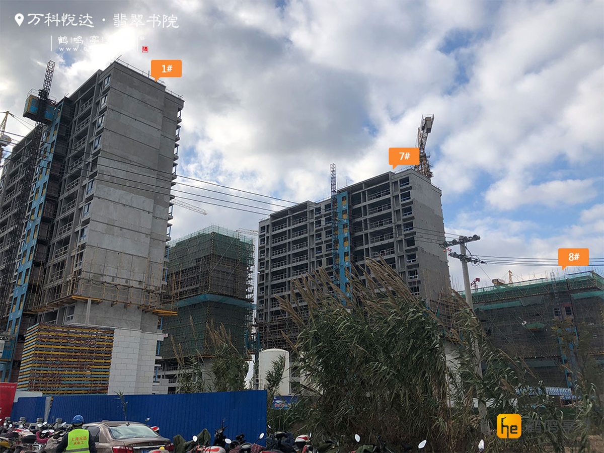 城东板块最新工程进度（2019年11月）